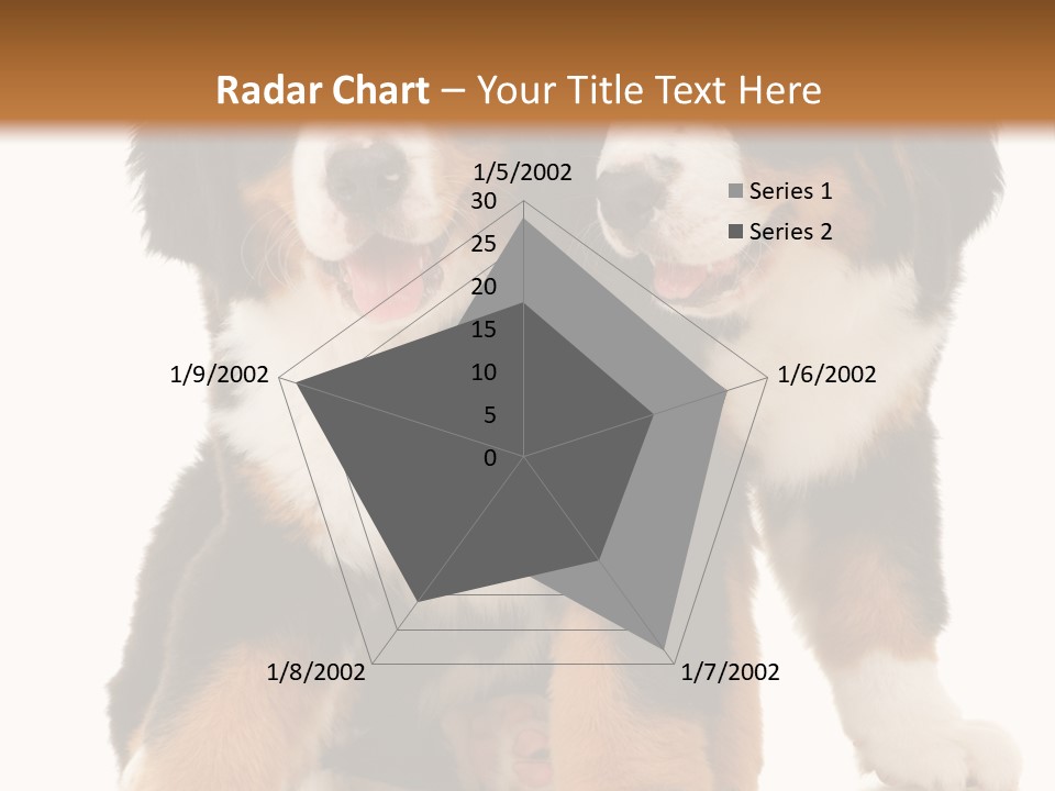 Shepherd Puppy Pup PowerPoint Template