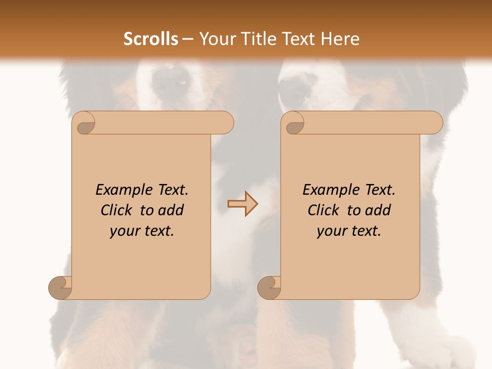 Shepherd Puppy Pup PowerPoint Template