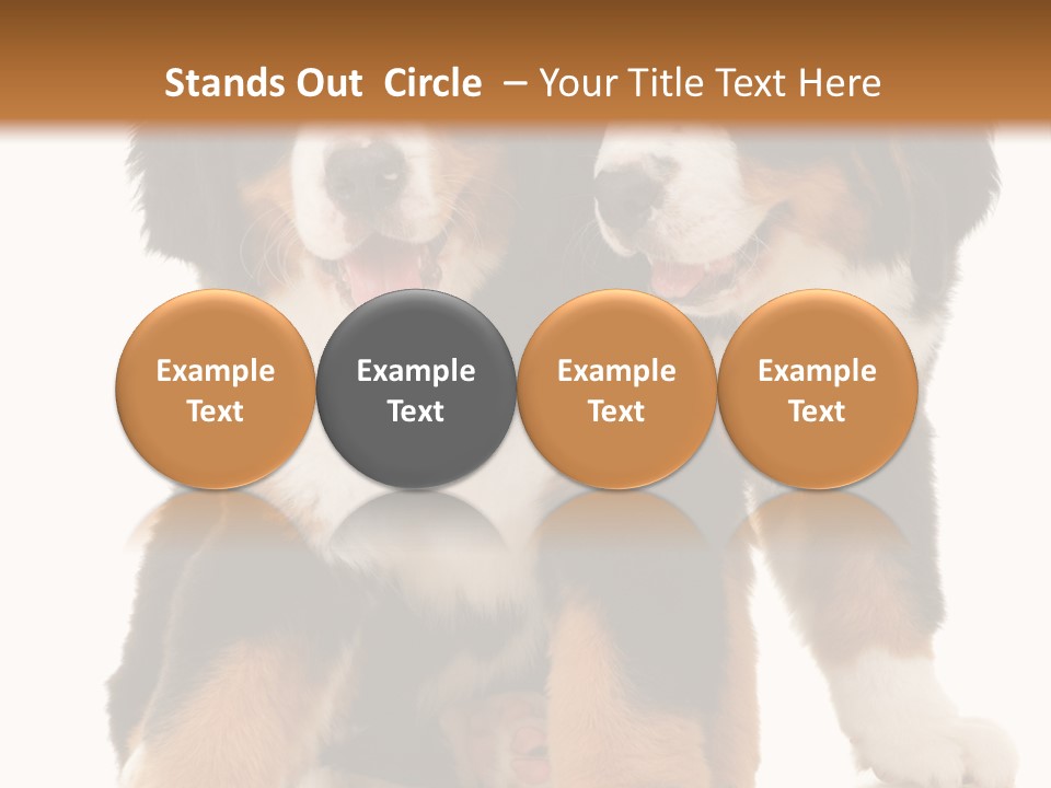 Shepherd Puppy Pup PowerPoint Template