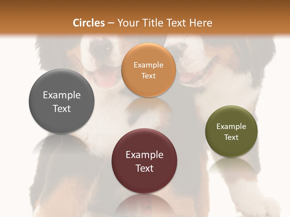 Shepherd Puppy Pup PowerPoint Template