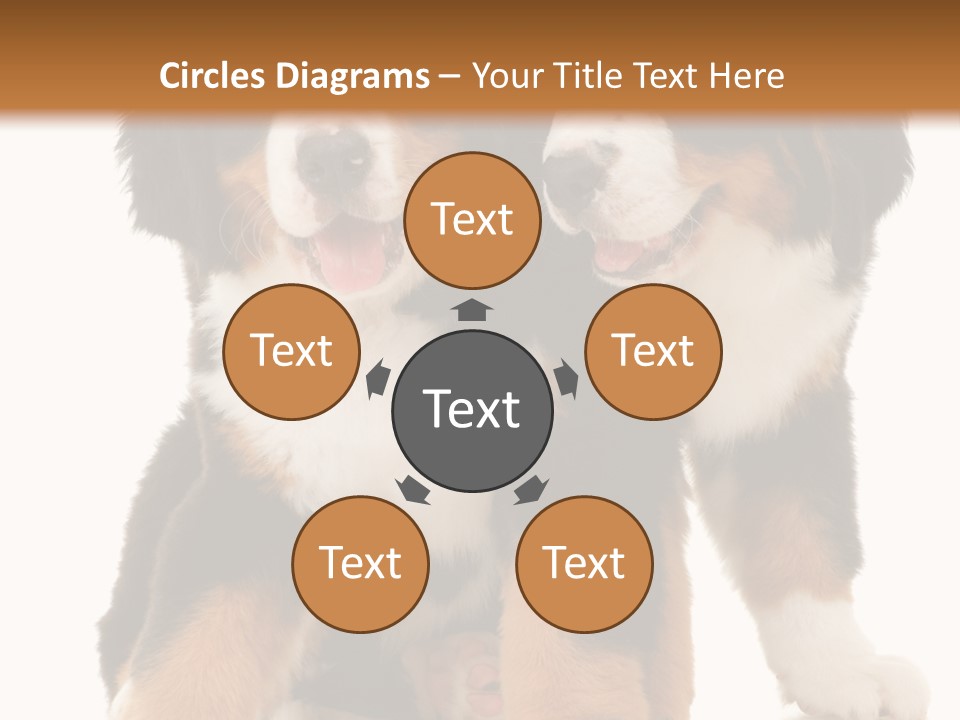 Shepherd Puppy Pup PowerPoint Template