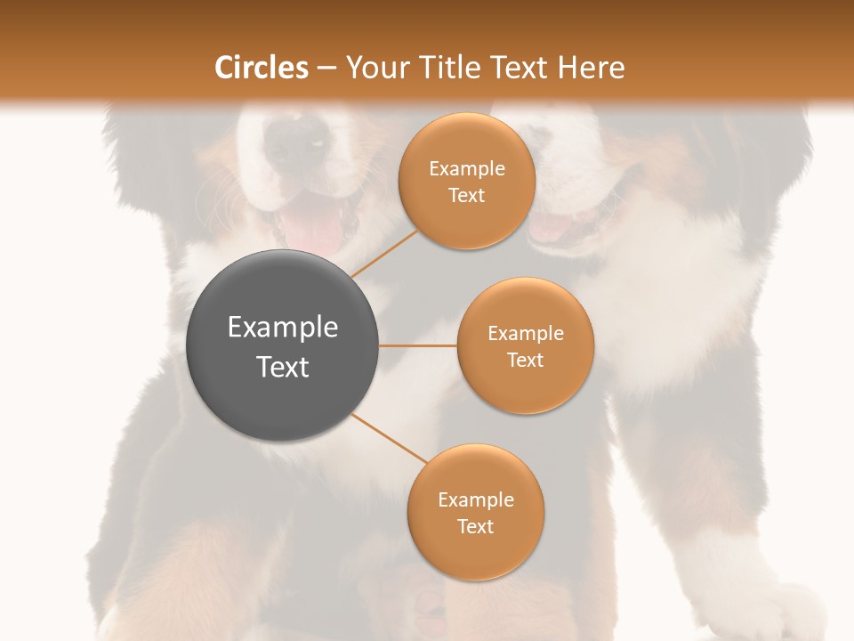 Shepherd Puppy Pup PowerPoint Template