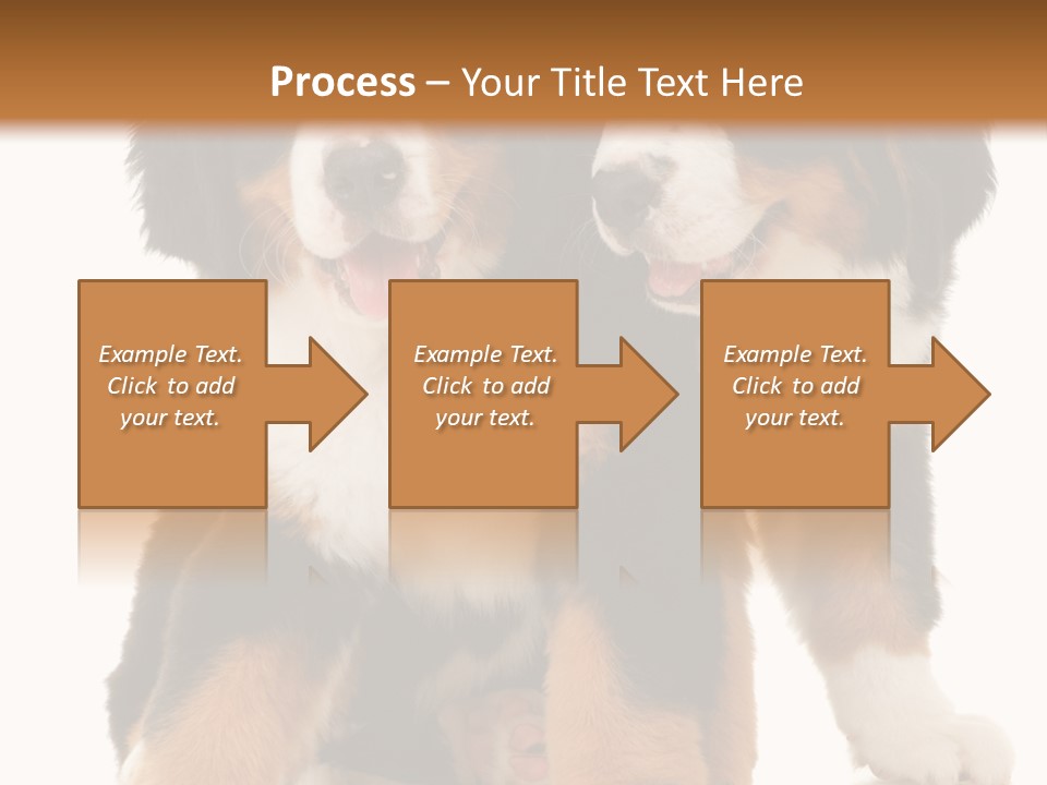 Shepherd Puppy Pup PowerPoint Template