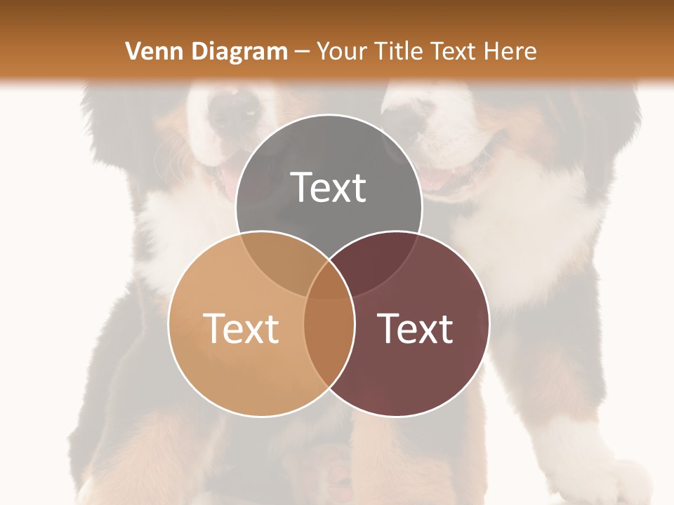 Shepherd Puppy Pup PowerPoint Template