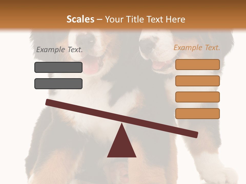 Shepherd Puppy Pup PowerPoint Template