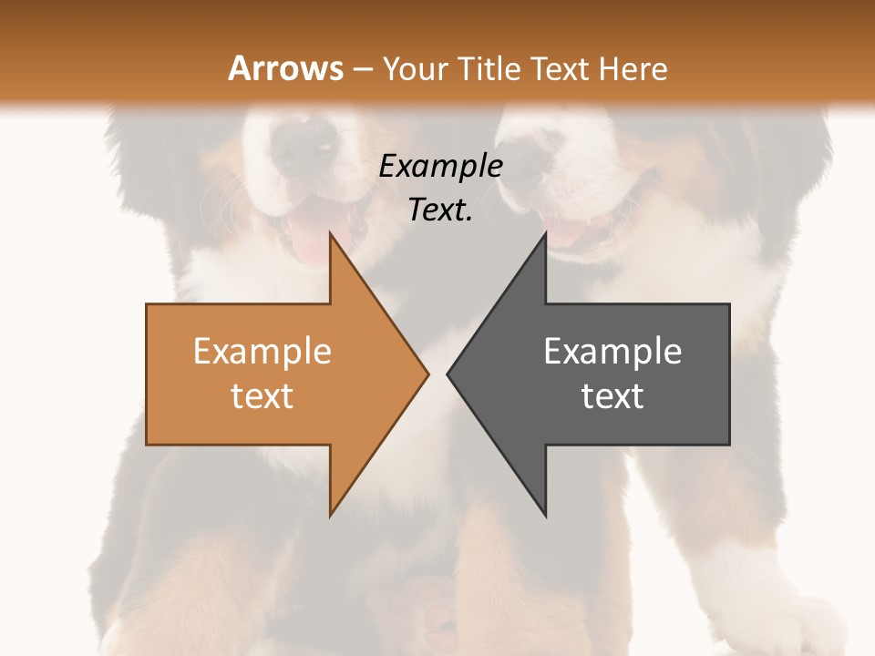 Shepherd Puppy Pup PowerPoint Template