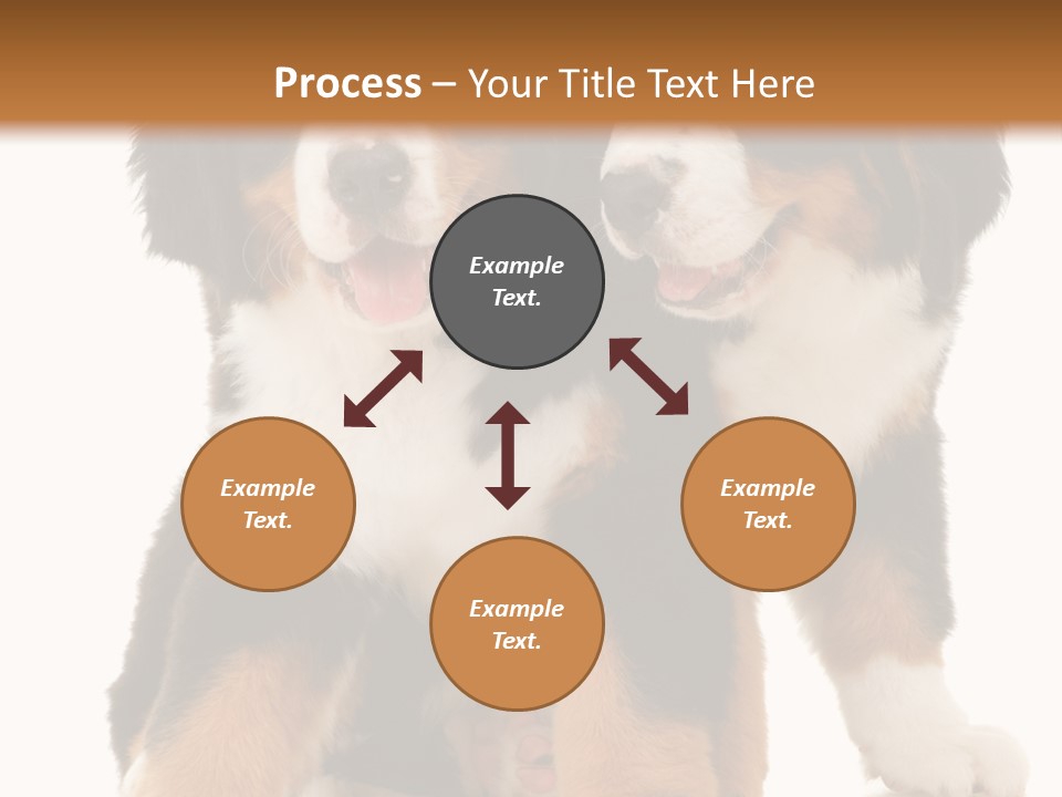 Shepherd Puppy Pup PowerPoint Template