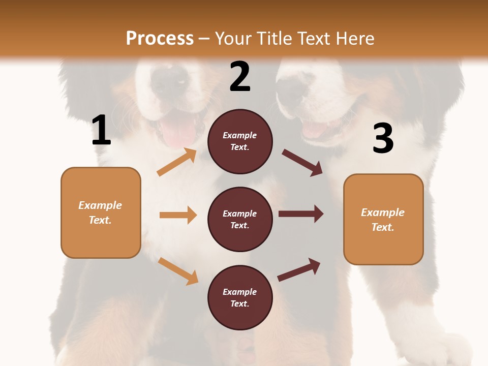 Shepherd Puppy Pup PowerPoint Template