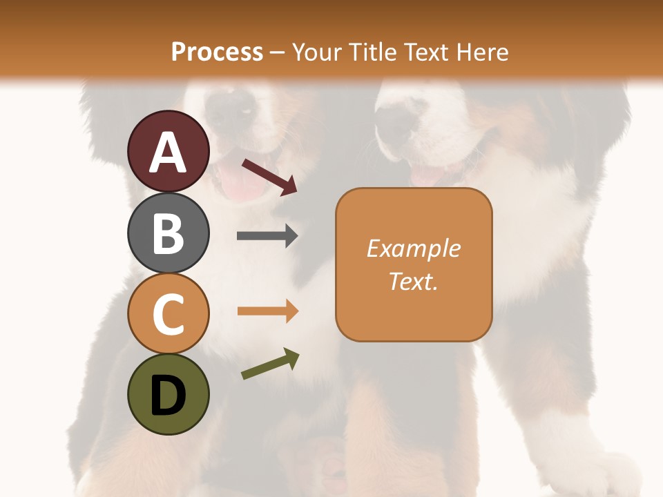 Shepherd Puppy Pup PowerPoint Template