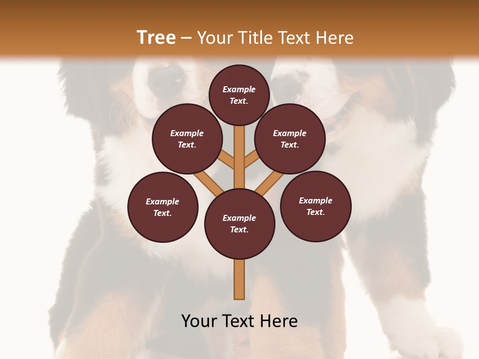 Shepherd Puppy Pup PowerPoint Template