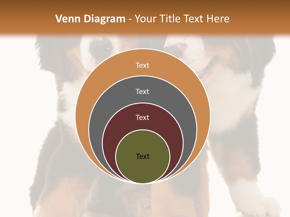 Shepherd Puppy Pup PowerPoint Template