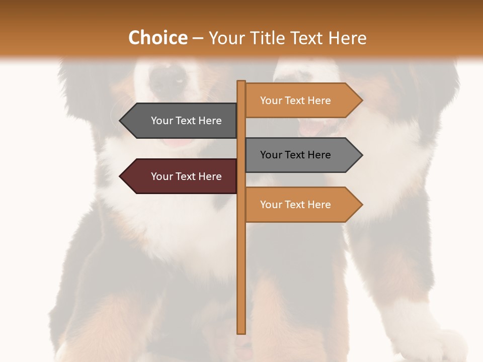 Shepherd Puppy Pup PowerPoint Template