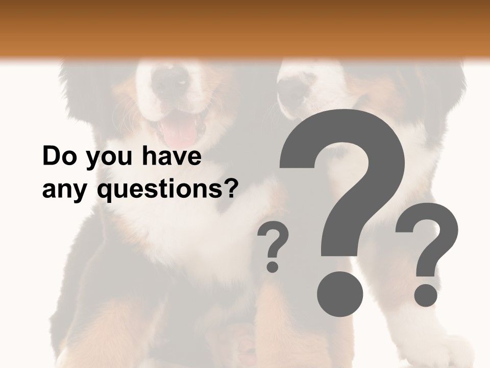 Shepherd Puppy Pup PowerPoint Template