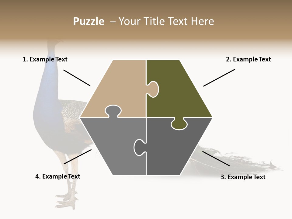 No People Bird Behavior PowerPoint Template