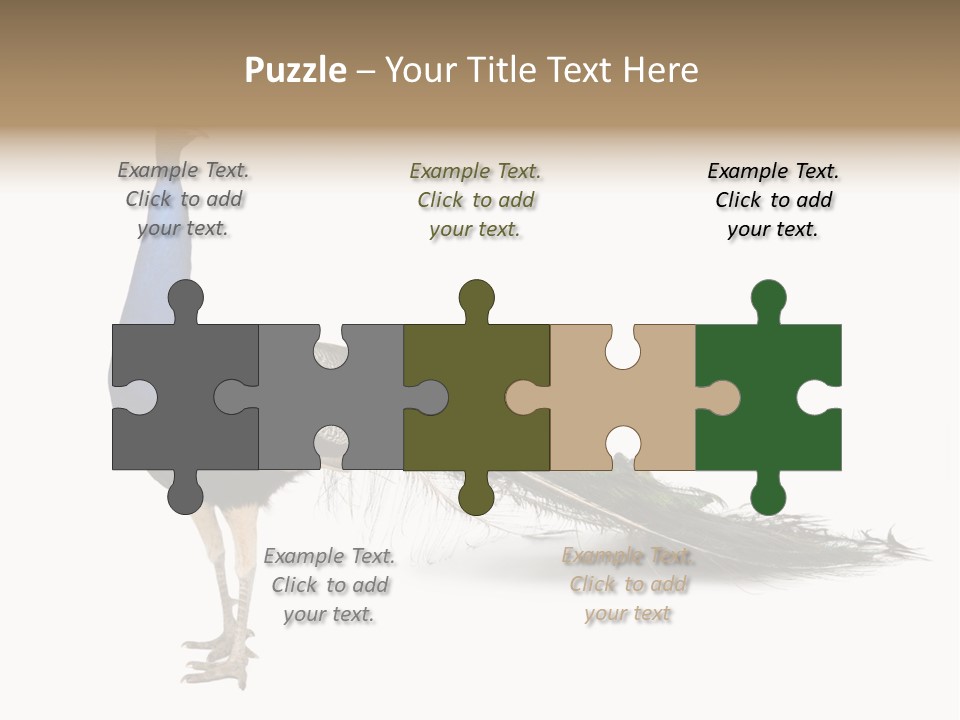 No People Bird Behavior PowerPoint Template