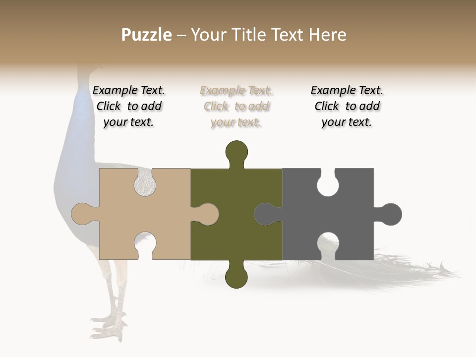 No People Bird Behavior PowerPoint Template