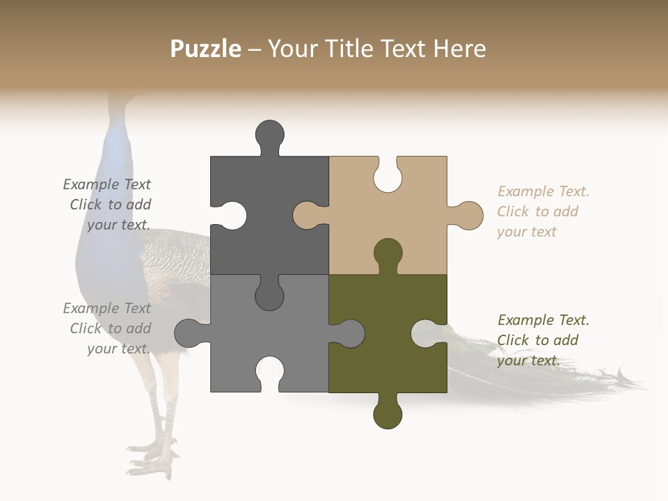 No People Bird Behavior PowerPoint Template