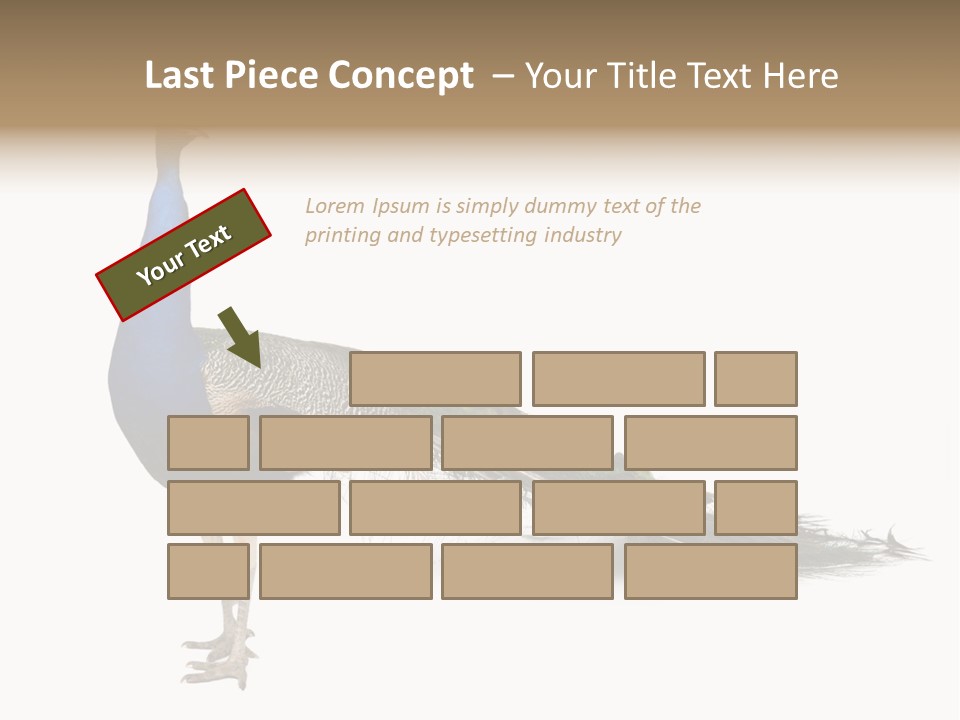 No People Bird Behavior PowerPoint Template