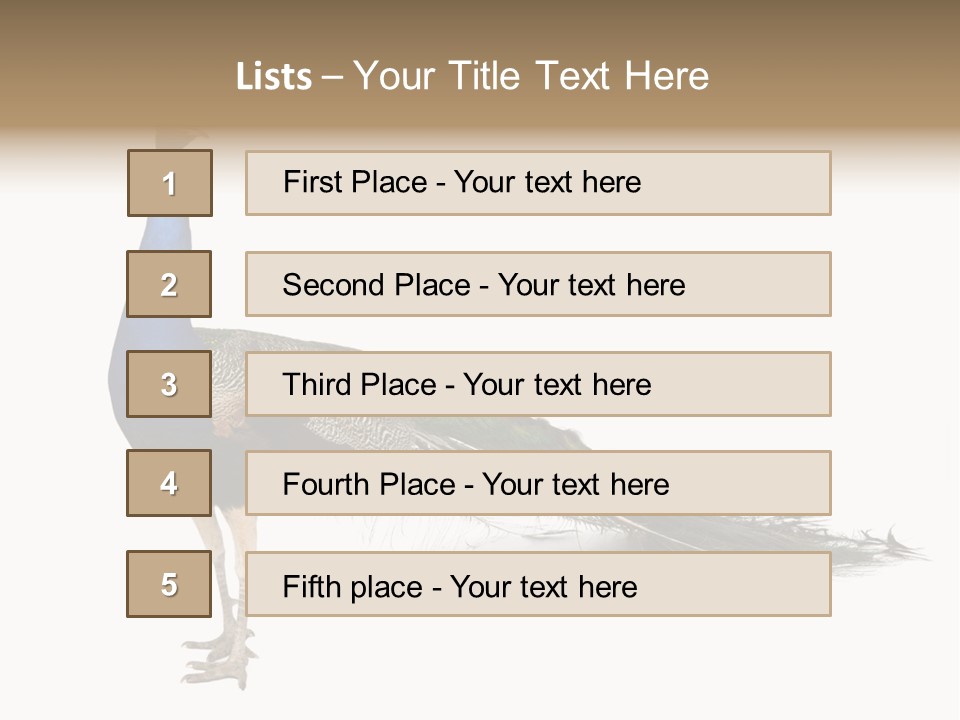 No People Bird Behavior PowerPoint Template