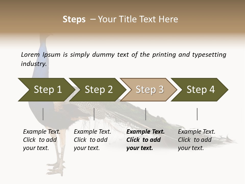 No People Bird Behavior PowerPoint Template
