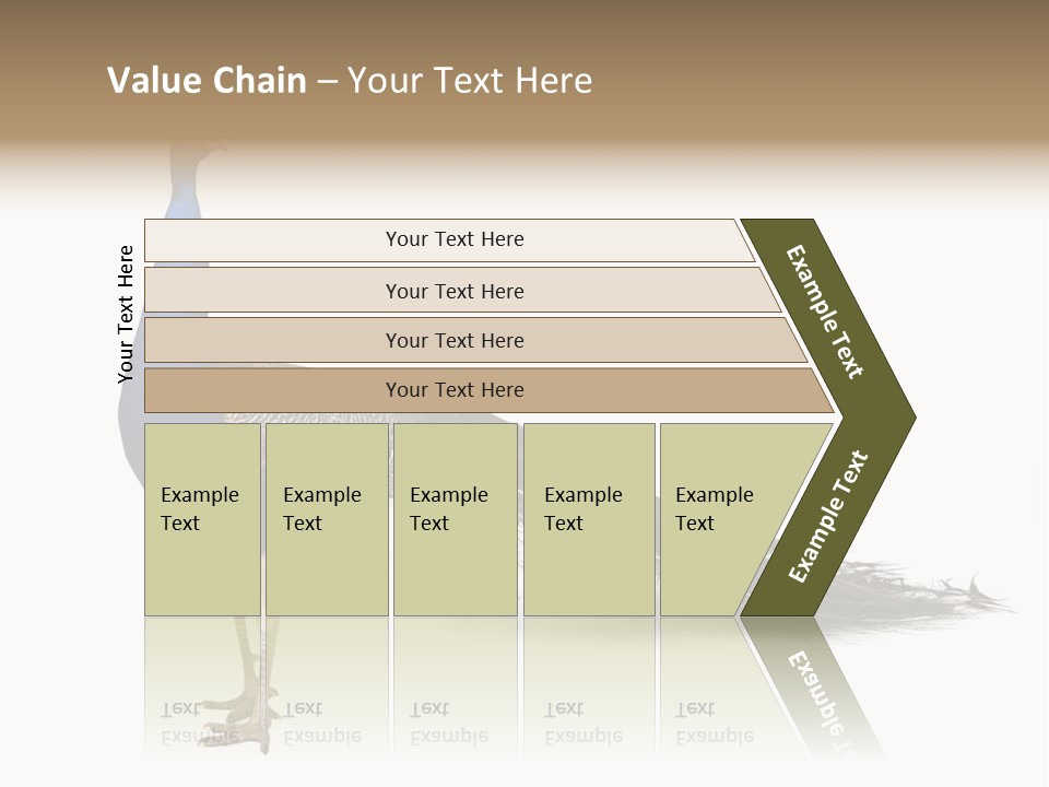 No People Bird Behavior PowerPoint Template