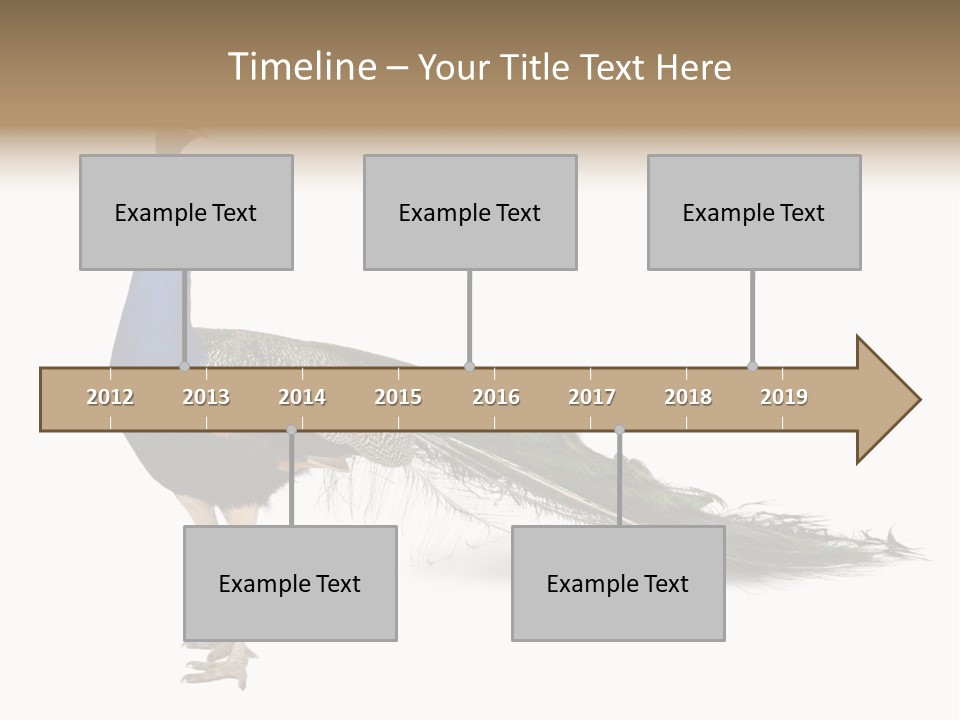 No People Bird Behavior PowerPoint Template