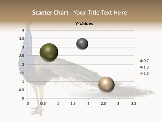 No People Bird Behavior PowerPoint Template