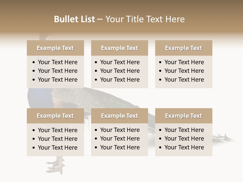 No People Bird Behavior PowerPoint Template