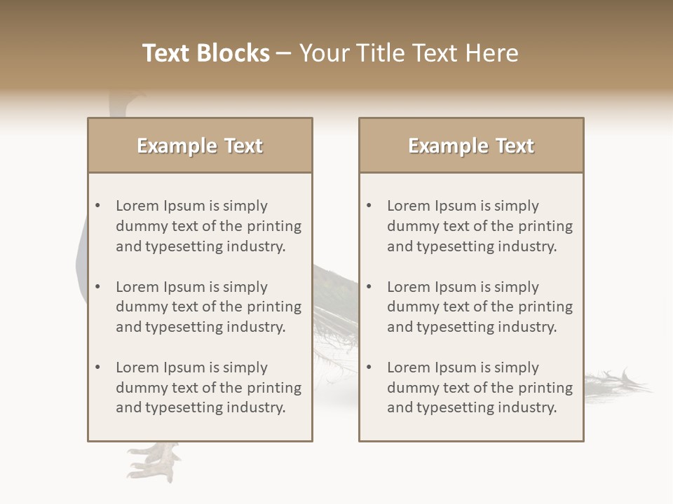 No People Bird Behavior PowerPoint Template