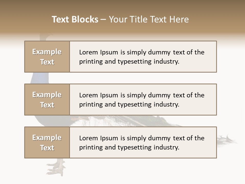 No People Bird Behavior PowerPoint Template