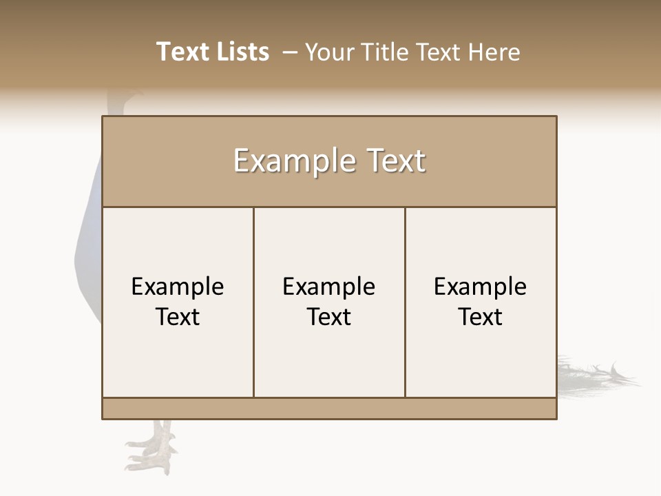 No People Bird Behavior PowerPoint Template