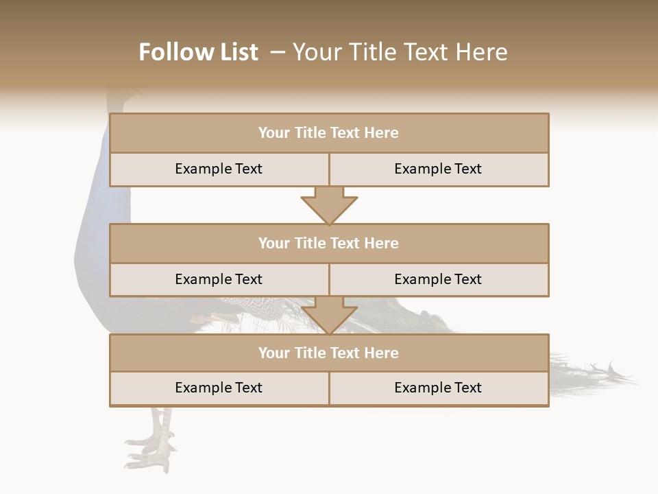 No People Bird Behavior PowerPoint Template