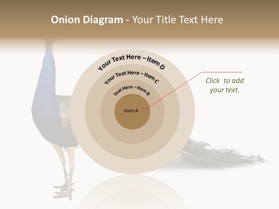 No People Bird Behavior PowerPoint Template