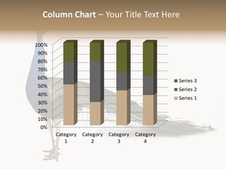 No People Bird Behavior PowerPoint Template