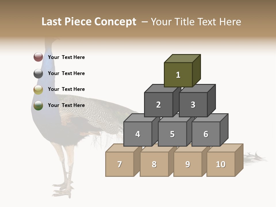 No People Bird Behavior PowerPoint Template