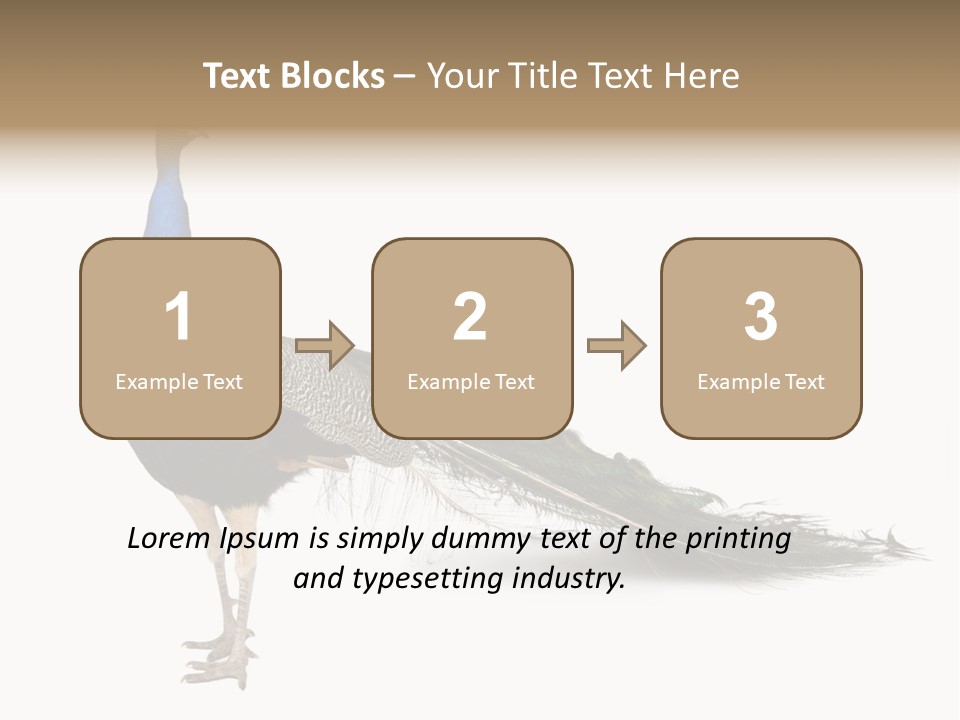 No People Bird Behavior PowerPoint Template