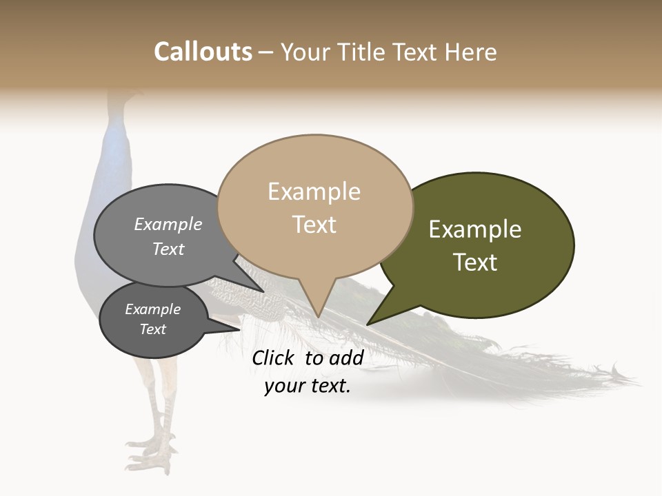 No People Bird Behavior PowerPoint Template