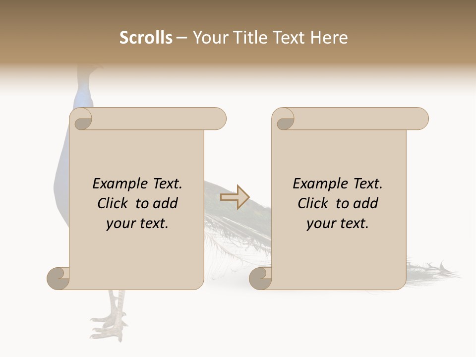 No People Bird Behavior PowerPoint Template