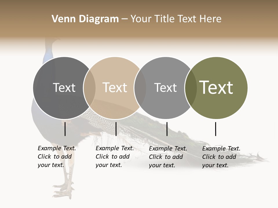 No People Bird Behavior PowerPoint Template
