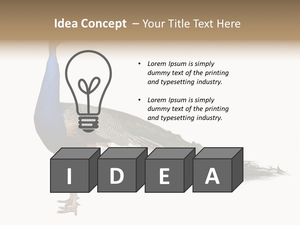 No People Bird Behavior PowerPoint Template