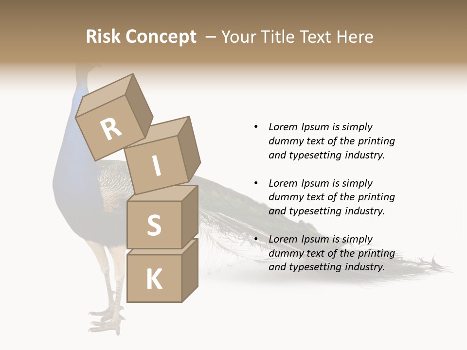 No People Bird Behavior PowerPoint Template
