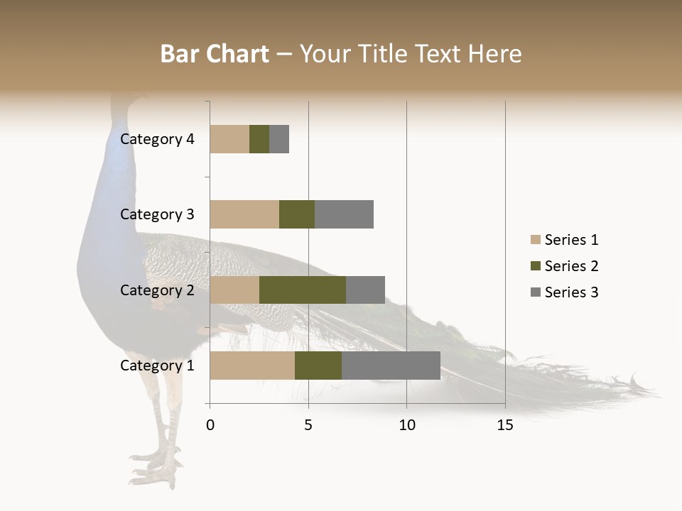 No People Bird Behavior PowerPoint Template