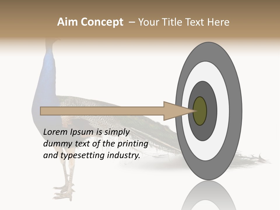 No People Bird Behavior PowerPoint Template