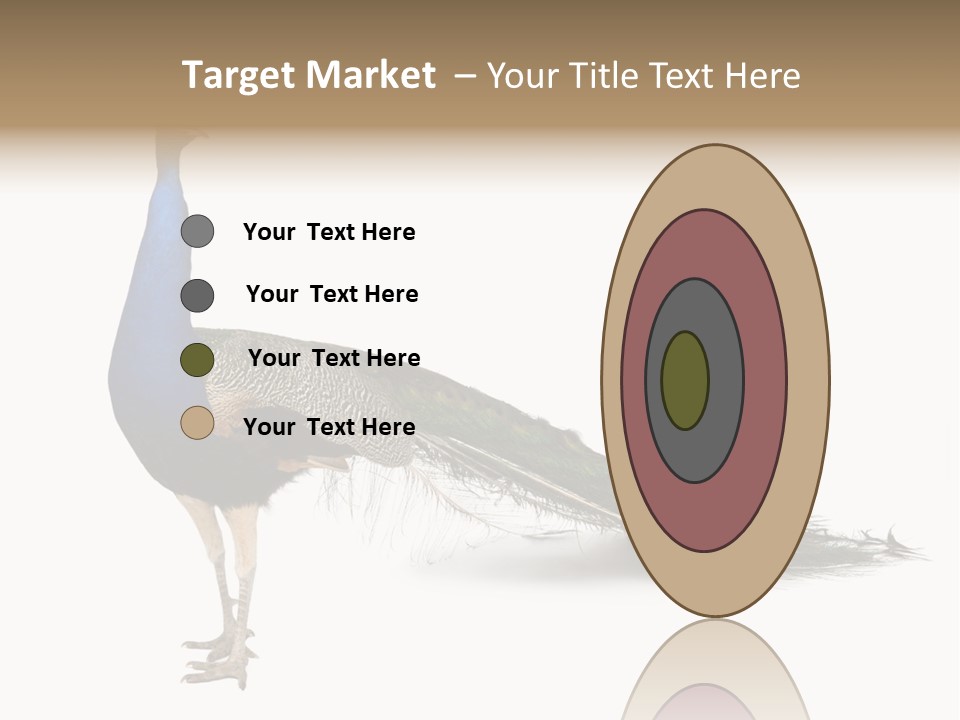 No People Bird Behavior PowerPoint Template