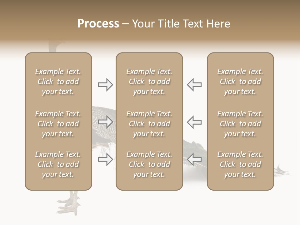 No People Bird Behavior PowerPoint Template