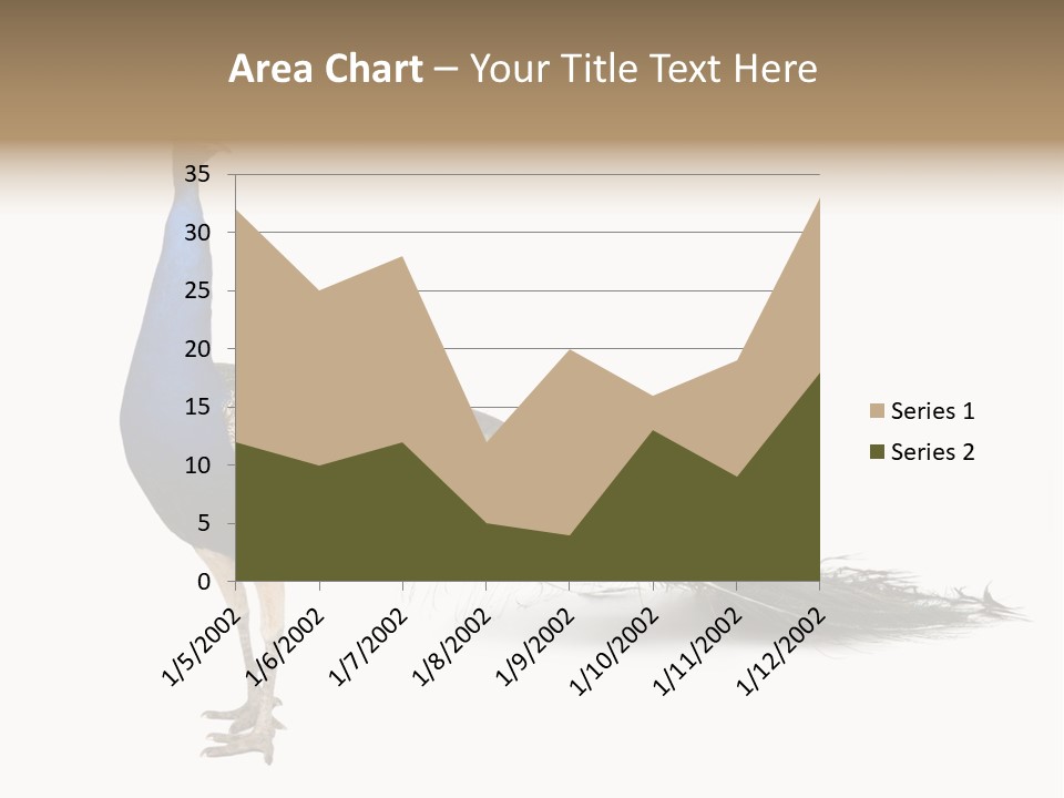 No People Bird Behavior PowerPoint Template