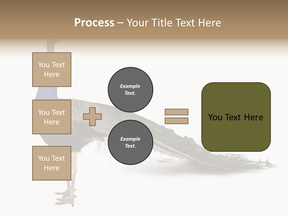 No People Bird Behavior PowerPoint Template