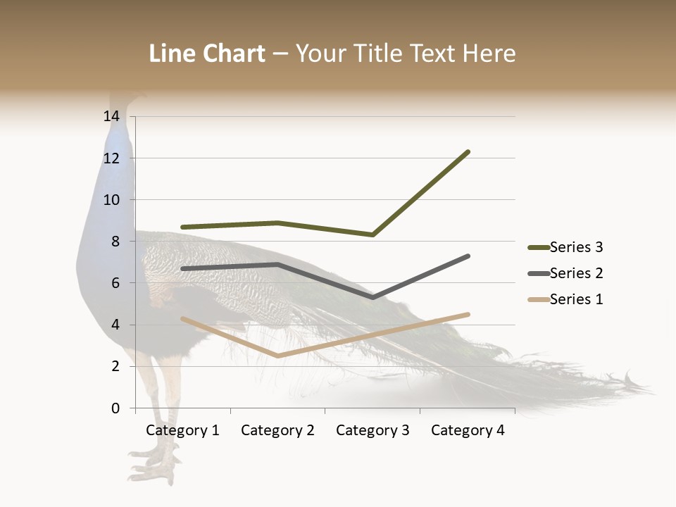 No People Bird Behavior PowerPoint Template
