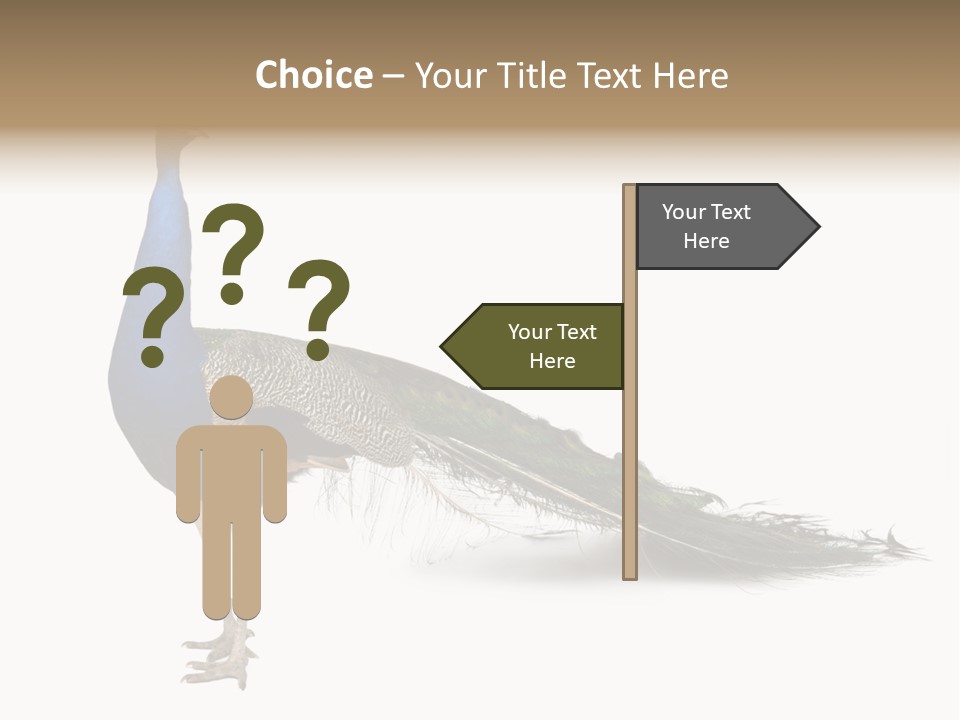 No People Bird Behavior PowerPoint Template