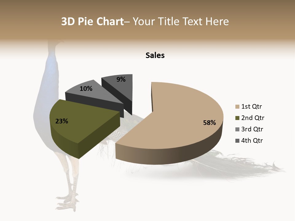 No People Bird Behavior PowerPoint Template